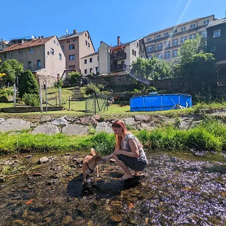 Zi1 - Urlaubsmagie - Erholung Mit Whirlpool & Sauna * Sebnitz