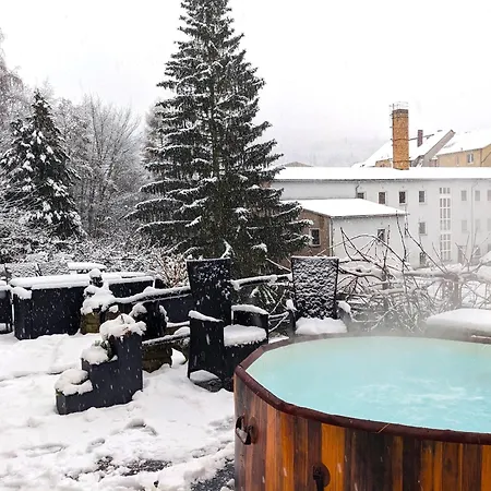 Zi1 - Urlaubsmagie - Erholung Mit Whirlpool & Sauna Apartment Sebnitz